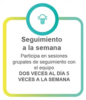 seguimiento diario amzn elite