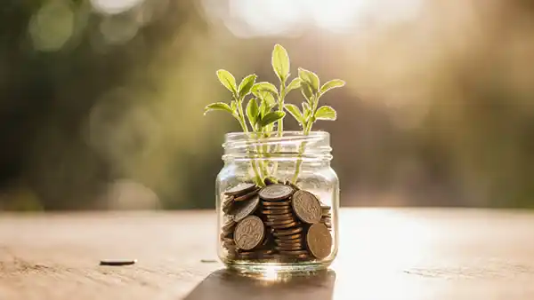 Hacia la libertad financiera